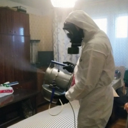 Дезинфекция от клопов в Дзержинске