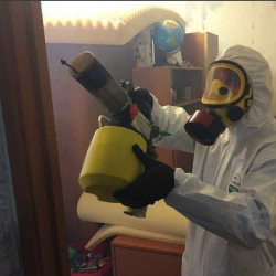 Уничтожение клопов в квартире. Дзержинск